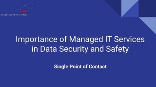 Importance of Managed IT Services in Data Security and Safety