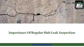 Importance Of Regular Slab Leak Inspection