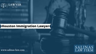 Houston Immigration Lawyer