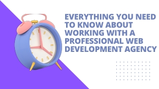 Everything You Need To Know About Working With A Professional Web Development Agency
