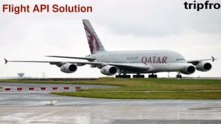 Flight API Solution