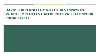 David Thien Anh Luong the Best Ways in Which Employees Can Be Motivated to Work Proactively