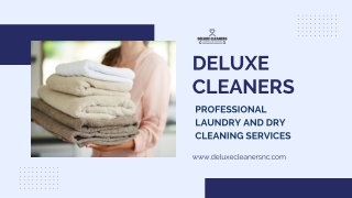 DELUXE CLEANERS