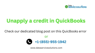 2 proven ways to Unapply a Credit in Quickbooks. [Solved]