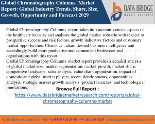 Global Chromatography Columns Market