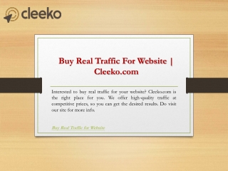 Buy Real Traffic For Website  Cleeko.com