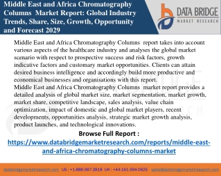 Middle East and Africa Chromatography Columns Market