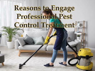 Reasons to Engage Professional Pest Control Treatment