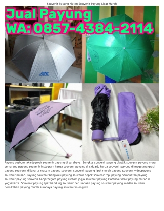 ౦85ᜪ-ԿЗ8Կ-ᒿ11Կ (WA) Payung Souvenir Online Payung Souvenir Online Shop
