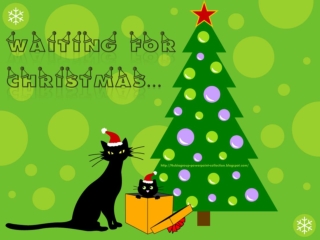 Waiting for Christmas...