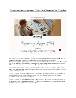 Programming Assignment Help: How Experts Can Help You
