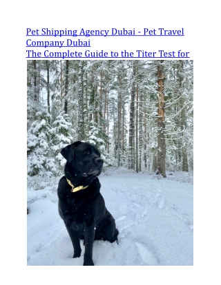 Pet Shipping Agency Dubai - Pet Travel Company Dubai