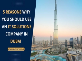 5 Reasons Why You Should Use an IT Solution Company in Dubai