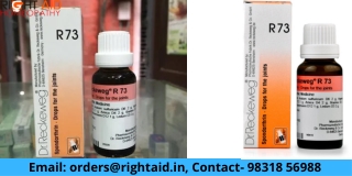 Dr. Reckeweg R73 (Spondarthrin) 22 ml For joint Pain