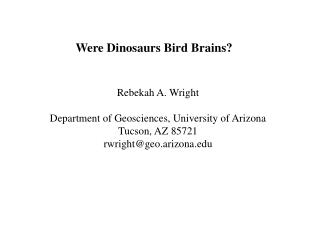Were Dinosaurs Bird Brains?