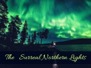 The surreal Northern Lights