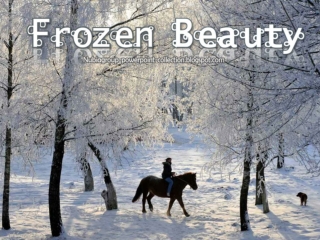 Frozen Beauty (1)