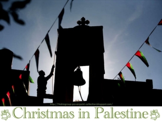 Christmas in PALESTINE - 2011