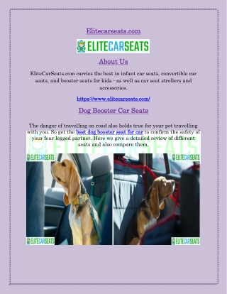Best Dog Booster Seat for Car