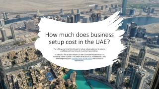 How much does business setup cost in the UAE