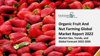 Organic Fruit And Nut Farming Market 2022 - CAGR Status, Major Players, Forecast