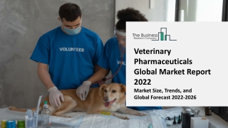 Veterinary Pharmaceuticals Market - Growth, Strategy Analysis, And Forecast 2031
