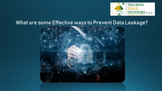 What are some Effective ways to Prevent Data Leakage?