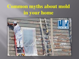 Common myths about mold in your home