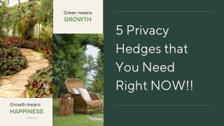 5 Privacy Hedges to Protect Your Yard Now