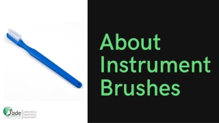 About Instrument Brushes