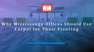 Why Mississauga Offices Should Use Carpet for Their Flooring