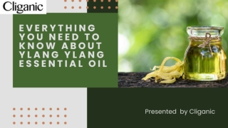 Everything you need to know about ylang ylang essential oil