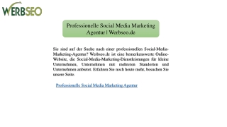 Professionelle Social Media Marketing Agentur | Werbseo.de
