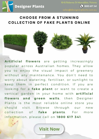 Choose from a stunning collection of fake plants online