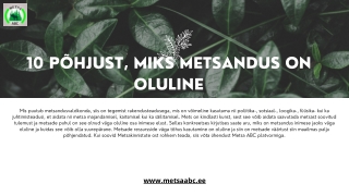 10 põhjust, miks metsandus on oluline