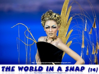 The World in a SNAP (14)