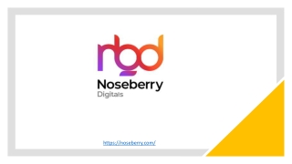 Web Application Development Company - Noseberry Digitals