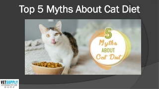 Top 5 Myths About Cat Diet | Pet Food | VetSupply