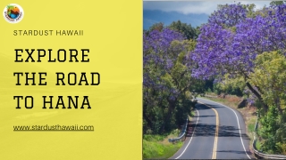 Explore the Road to Hana | Stardust Hawaii