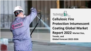 Cellulosic Fire Protection Intumescent Coating Market Size, Share, Insights, Trends, Competition, Growth Opportunities a