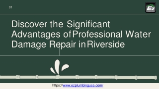 Discover the Significant Advantages of Professional Water Damage Repair in Riverside