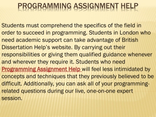 Programming Assignment Help