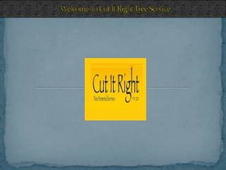 Tree Removal Services In Frankston | Cut It Right Tree Service Pty Ltd