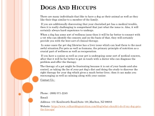 Dogs And Hiccups