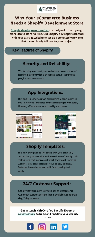 Why Your eCommerce Business Needs a Shopify Development Store