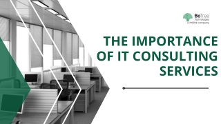Importance of an IT Consulting company