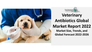 Veterinary Antibiotics Market Research, Opportunities, Growth And Outlook 2031