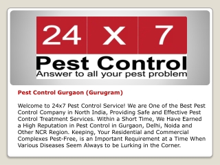 Pest Control Services in Delhi