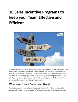 10 Sales Incentive Programs to keep your Team Effective and Efficient RewardPort