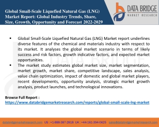 Global Small-Scale Liquefied Natural Gas (LNG) Market Growth Analysis, Trends by